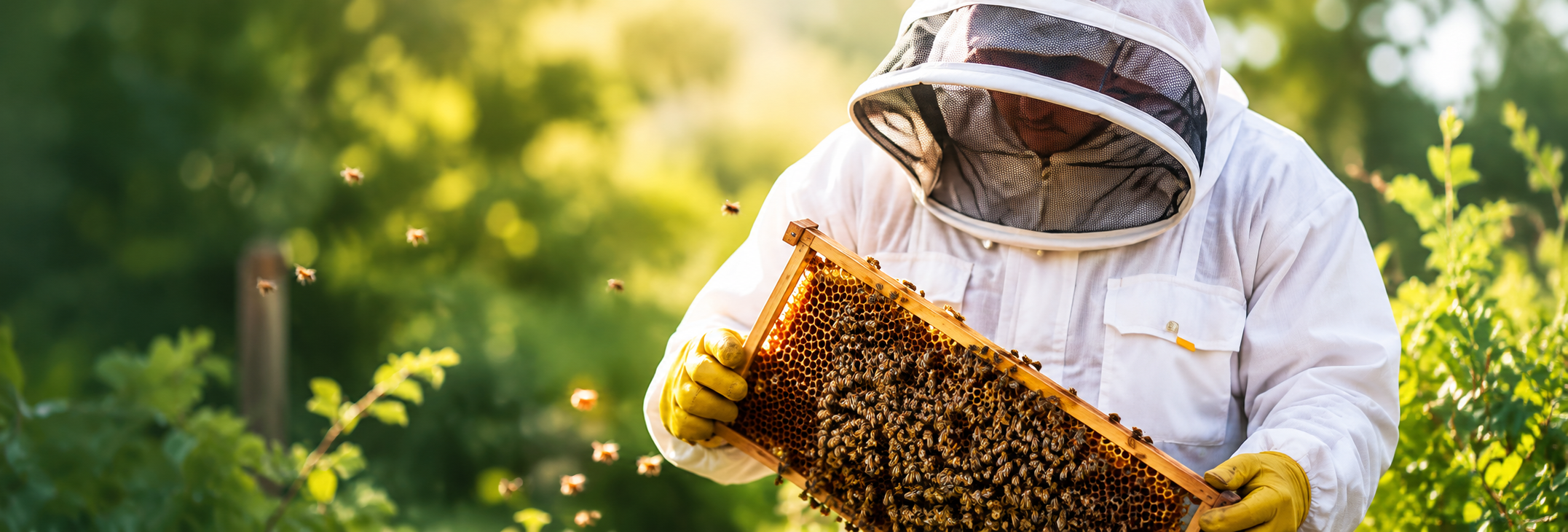 Professional beekeeper wearing protective suit